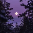 Twilight Zone Discord Server Icon