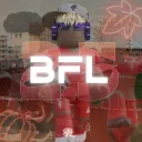 Blox Football League