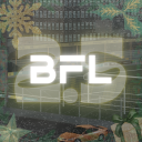 Discovery icon for Blox Football League Discord server