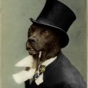 Underdog Addicts Discord Server Icon