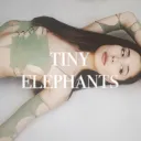 tiny elephants Discord Server Icon