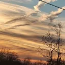 Little Server Of Chaos Discord Server Icon