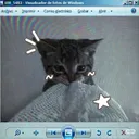 gatito 18+