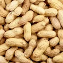 twig's Crew Discord Server Icon