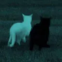 enchanted discord icon