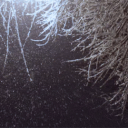 Daddy and Co. Discord server icon