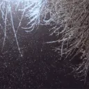 Lovebite Discord Server Icon