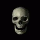 SkullNation