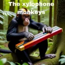 The Xylophone Monkeys