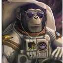 TSM | The Space Monkeys