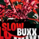 Slow Buxx