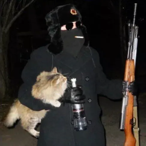Дикие земли — мониторинг Discord сервера, статистика и рейтинг