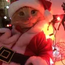 #s44dist Discord Server Icon