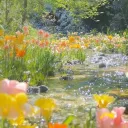 Identity V Roleplay Discord Server Icon