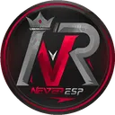 NEVER  ESPORTS