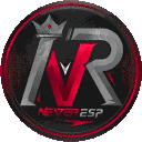 NEVER  E-SPORTS