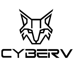 Discovery icon for CyberV Discord server
