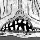 𝐌𝐄𝐓𝐀𝐋 𝐅𝐑𝐎𝐍𝐓𝐈𝐄𝐑 ╳ ... Discord Server Icon