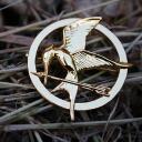 FRACTURED (A HUNGER GAMES STORY) Discord Server Icon