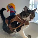 Looking for gf!! discord icon