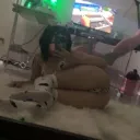 Pawcid’s Heaven!! +18