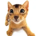 Molecule Discord Server Icon