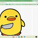 Duck's Migration