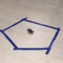 PavHUB