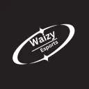 Waizy Esports