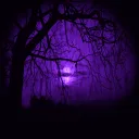 Tooney's mansion Discord server icon