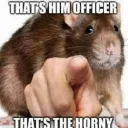 Looking for a girlfriend discord icon