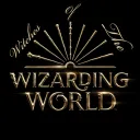 Witches of the Wizarding World