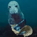 Bounty's Sprinkly Spazzy Sprin... Discord Server Icon