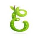 EverlynSMP Discord Server Icon