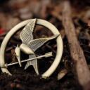 PANEM TODAY. PANEM TOMORROW. PANEM FOREVER Discord Server Icon