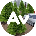 Auraville