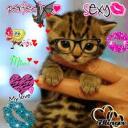 kitten smp Discord Server Icon