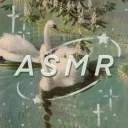 🎧 ASMR 🎧