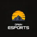Dawn Esports LLC