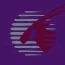 Qatar Airlines PTFS