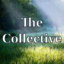⊱⋞◊ The Collective ◊⋟⊰