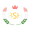BSH E-SPORT