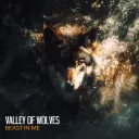 Valley of Wolves Fan Server