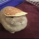 paibun