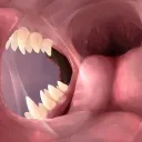 Caverna do Vore