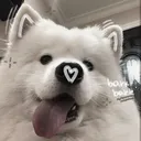 𝒞𝓊𝓅𝒾𝒹𝓏 𝒫𝓁𝒶𝓎𝓅𝑒𝓃˚.🦴 ᵎᵎ