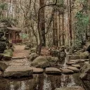 Deadly Summer Camp {Complete} Discord Server Icon