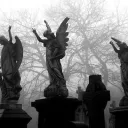 𝙢𝙚𝙡𝙤𝙙𝙧𝙖𝙢𝙖𝙩𝙞𝙘 discord icon