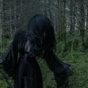 /xenz ; social's icon