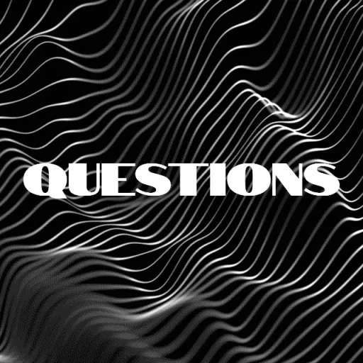 QuestionS — мониторинг Discord сервера, статистика и рейтинг